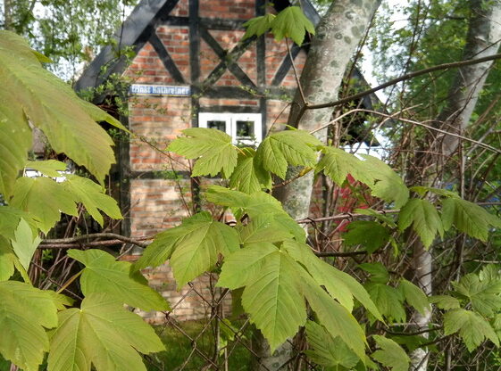 Haus mit Kathreiner Schild